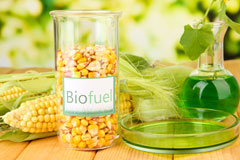 Shipping biofuel availability